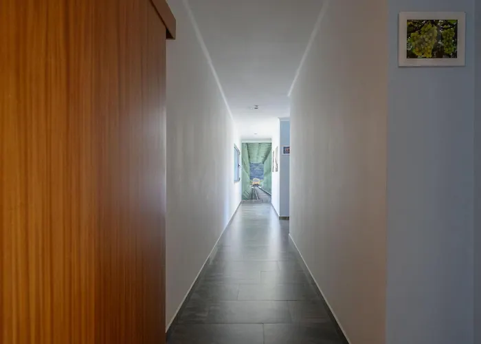 Feel Discovery Douro House Βίλα Peso da Régua