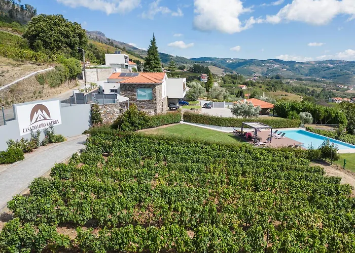 Feel Discovery Douro House